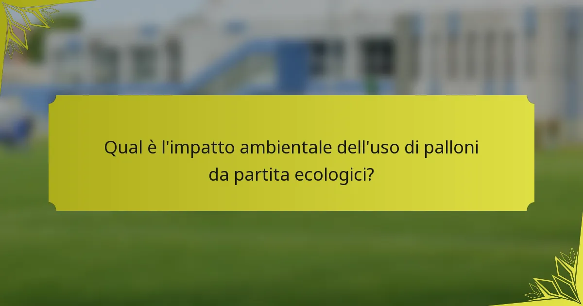 Qual è l'impatto ambientale dell'uso di palloni da partita ecologici?
