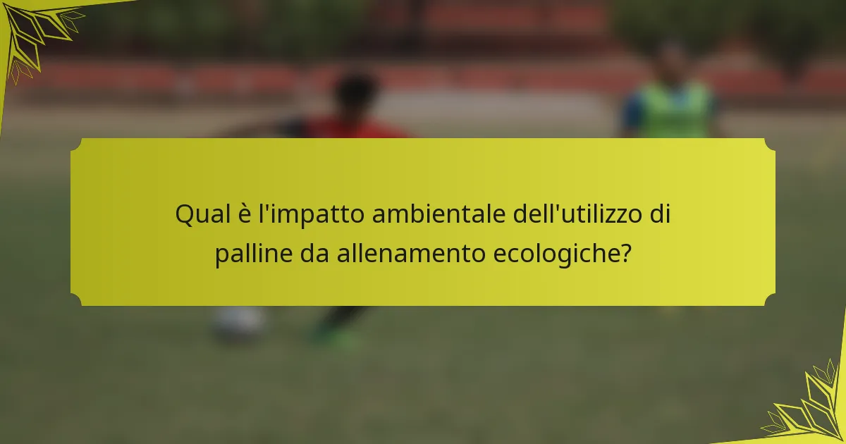 Qual è l'impatto ambientale dell'utilizzo di palline da allenamento ecologiche?
