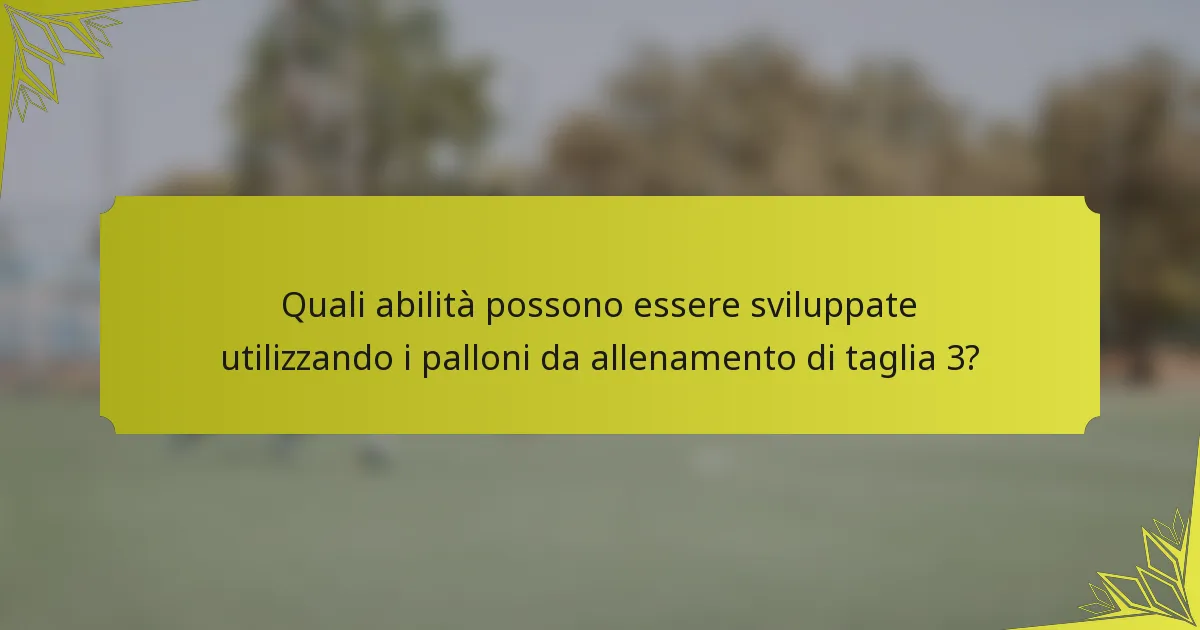 Quali abilità possono essere sviluppate utilizzando i palloni da allenamento di taglia 3?