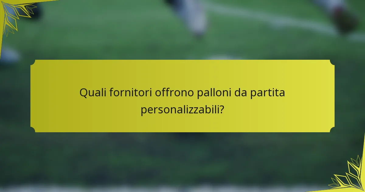 Quali fornitori offrono palloni da partita personalizzabili?
