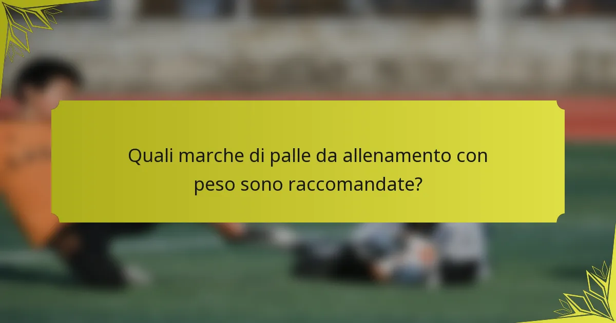Quali marche di palle da allenamento con peso sono raccomandate?