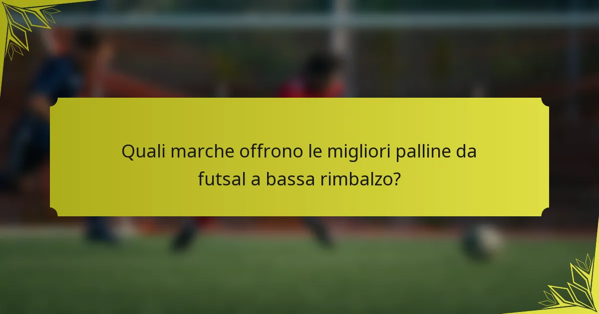 Quali marche offrono le migliori palline da futsal a bassa rimbalzo?