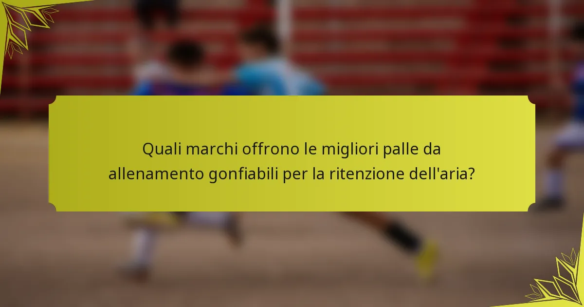Quali marchi offrono le migliori palle da allenamento gonfiabili per la ritenzione dell'aria?