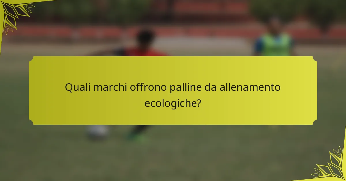 Quali marchi offrono palline da allenamento ecologiche?