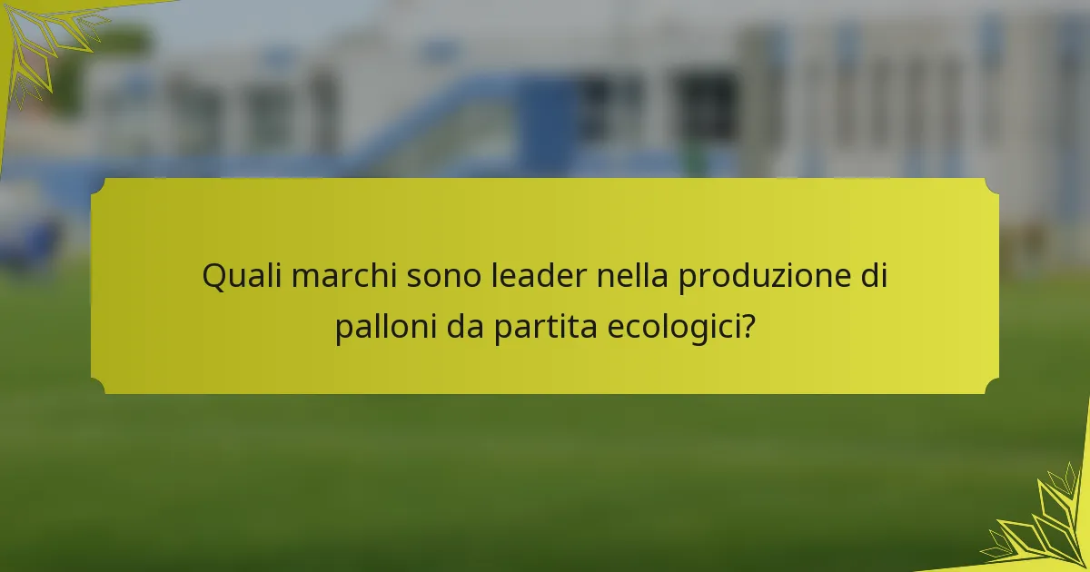 Quali marchi sono leader nella produzione di palloni da partita ecologici?