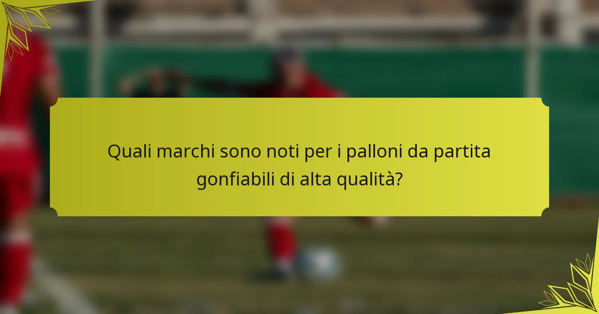 Quali marchi sono noti per i palloni da partita gonfiabili di alta qualità?