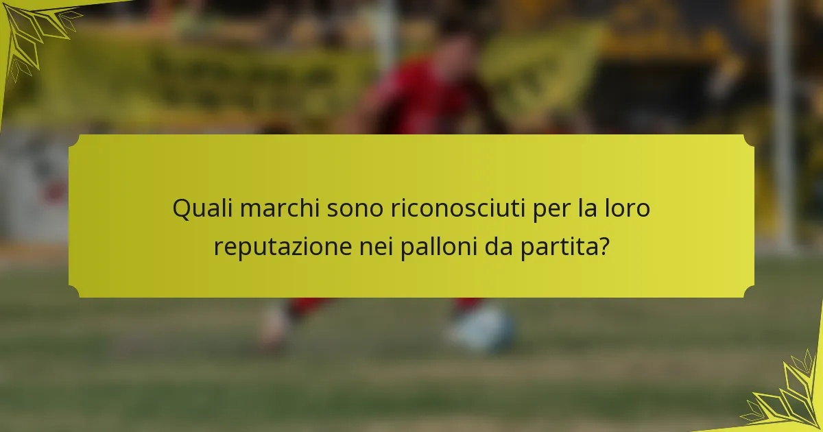 Quali marchi sono riconosciuti per la loro reputazione nei palloni da partita?