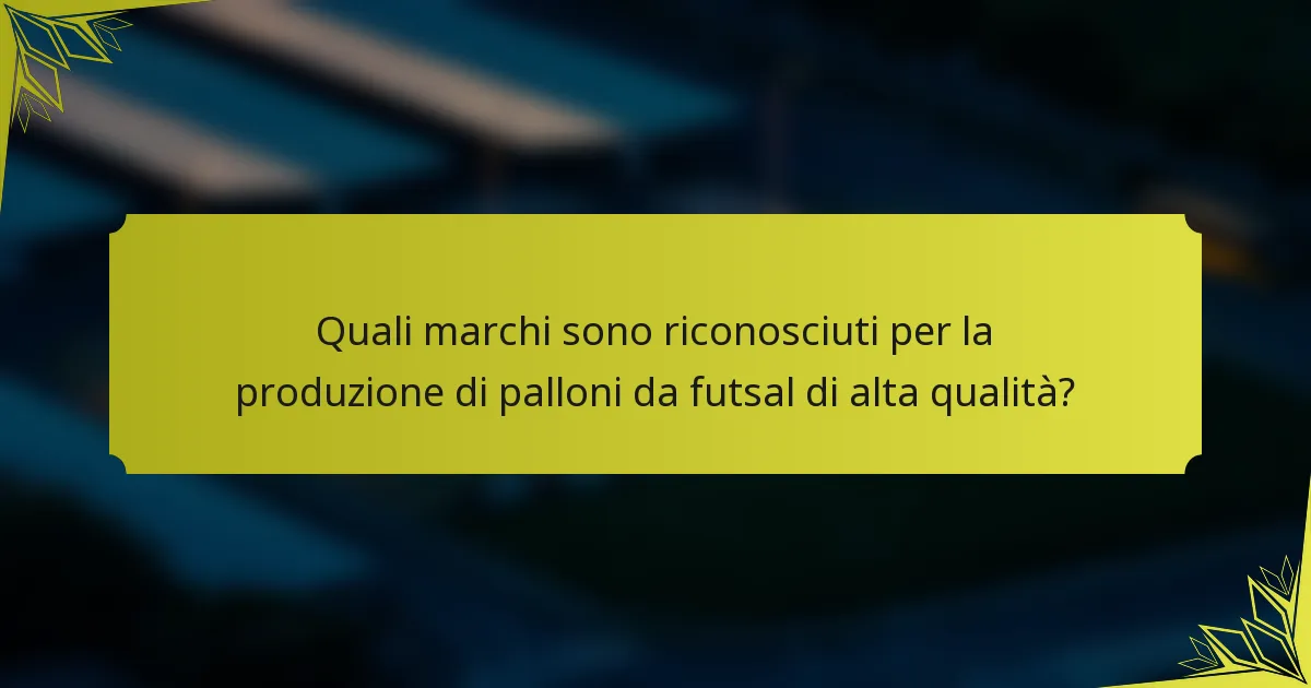 Quali marchi sono riconosciuti per la produzione di palloni da futsal di alta qualità?