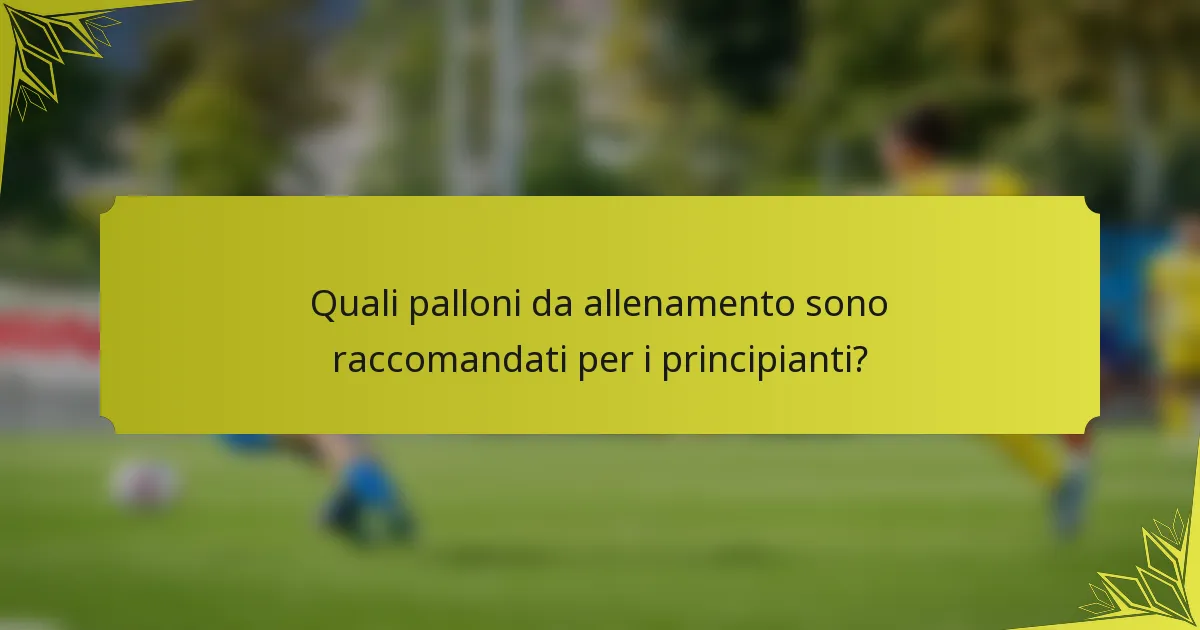 Quali palloni da allenamento sono raccomandati per i principianti?
