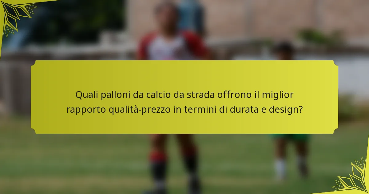 Quali palloni da calcio da strada offrono il miglior rapporto qualità-prezzo in termini di durata e design?