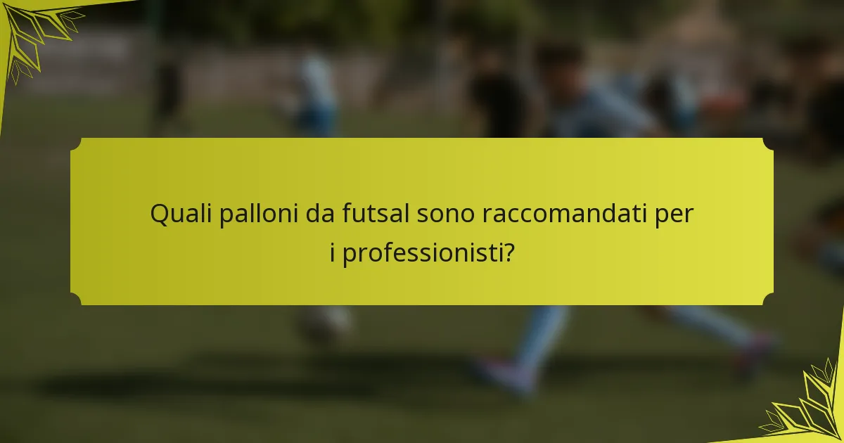 Quali palloni da futsal sono raccomandati per i professionisti?