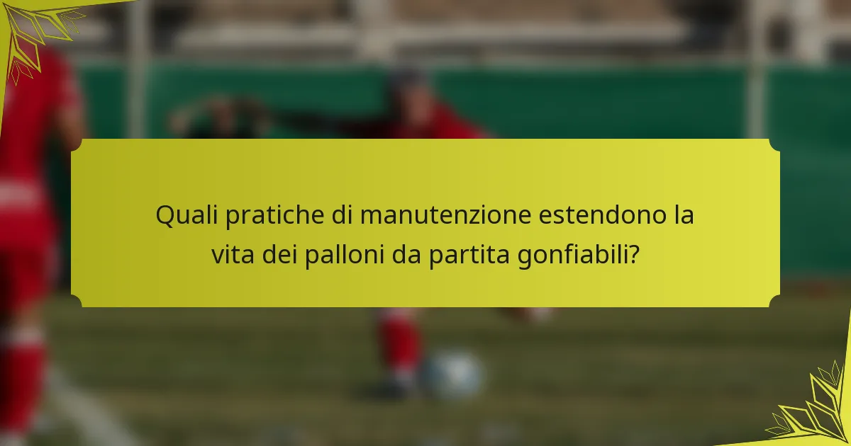 Quali pratiche di manutenzione estendono la vita dei palloni da partita gonfiabili?