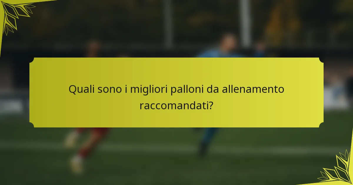 Quali sono i migliori palloni da allenamento raccomandati?