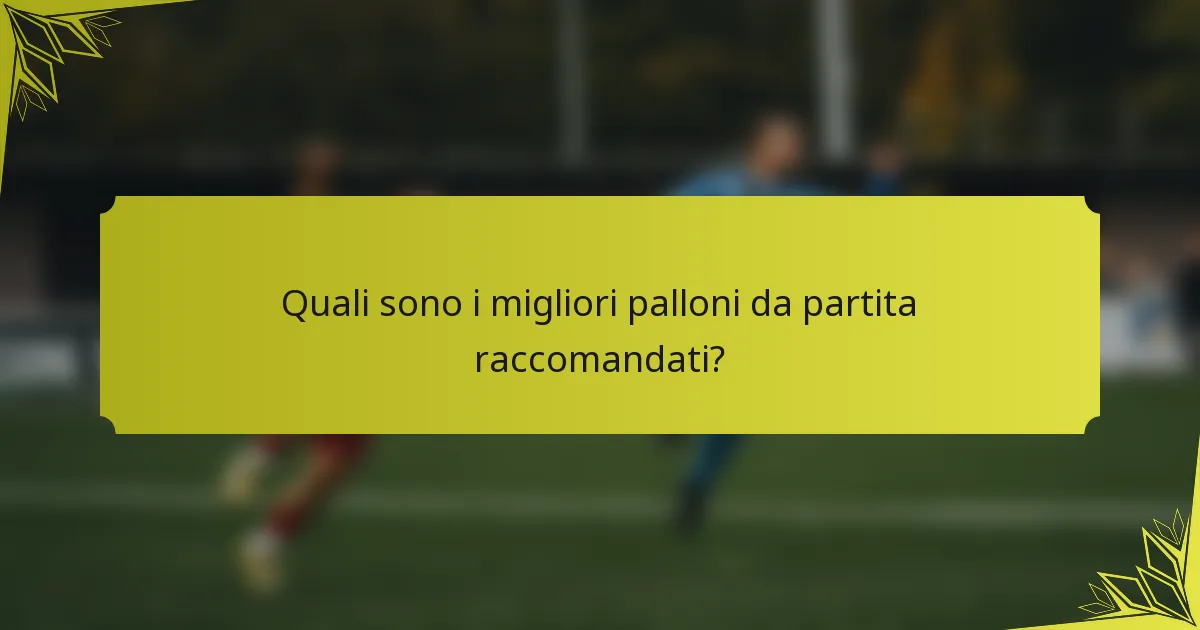 Quali sono i migliori palloni da partita raccomandati?
