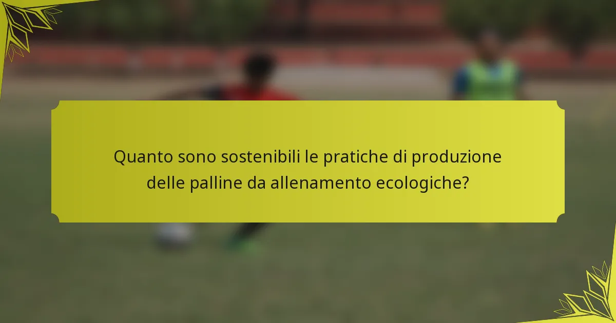 Quanto sono sostenibili le pratiche di produzione delle palline da allenamento ecologiche?