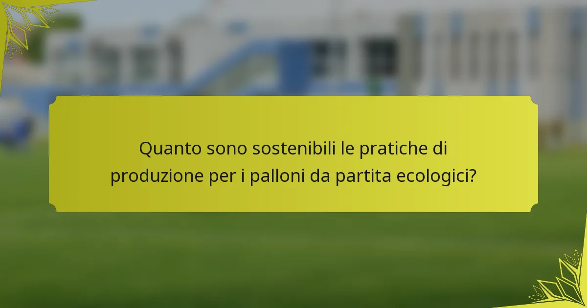 Quanto sono sostenibili le pratiche di produzione per i palloni da partita ecologici?